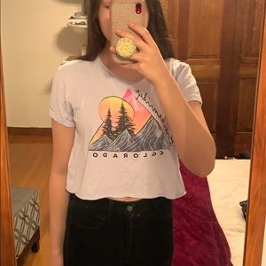 Purple Colorado crop top